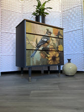 Load image into Gallery viewer, Bluebird Drawers