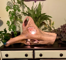 Load image into Gallery viewer, Driftwood Lamp