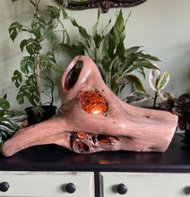 Load image into Gallery viewer, Driftwood Lamp