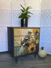 Load image into Gallery viewer, Bluebird Drawers