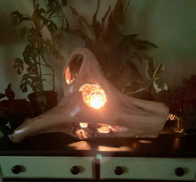 Load image into Gallery viewer, Driftwood Lamp