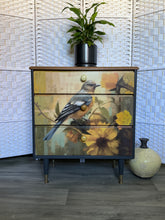 Load image into Gallery viewer, Bluebird Drawers