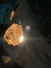 Load image into Gallery viewer, Driftwood Lamp