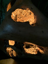 Load image into Gallery viewer, Driftwood Lamp