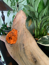 Load image into Gallery viewer, Driftwood Lamp