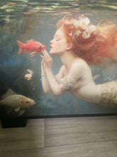 Load image into Gallery viewer, Mermaid Storage