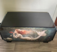 Load image into Gallery viewer, Mermaid Storage
