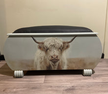 Load image into Gallery viewer, Retro Glory Box - Highland Cow
