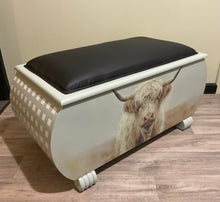 Load image into Gallery viewer, Retro Glory Box - Highland Cow
