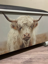 Load image into Gallery viewer, Retro Glory Box - Highland Cow
