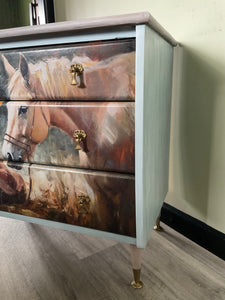 Pony Drawers