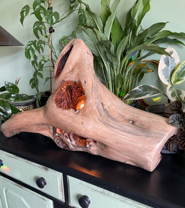 Driftwood Lamp