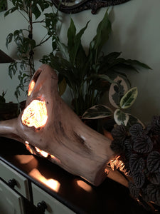 Driftwood Lamp