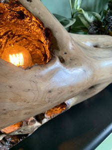 Driftwood Lamp