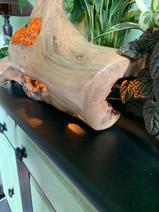 Driftwood Lamp